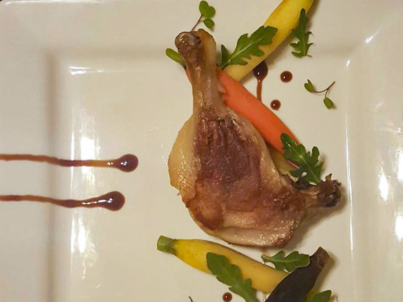 Close up view of Duck Confit served with carrots, herbs and sauce on a white plate