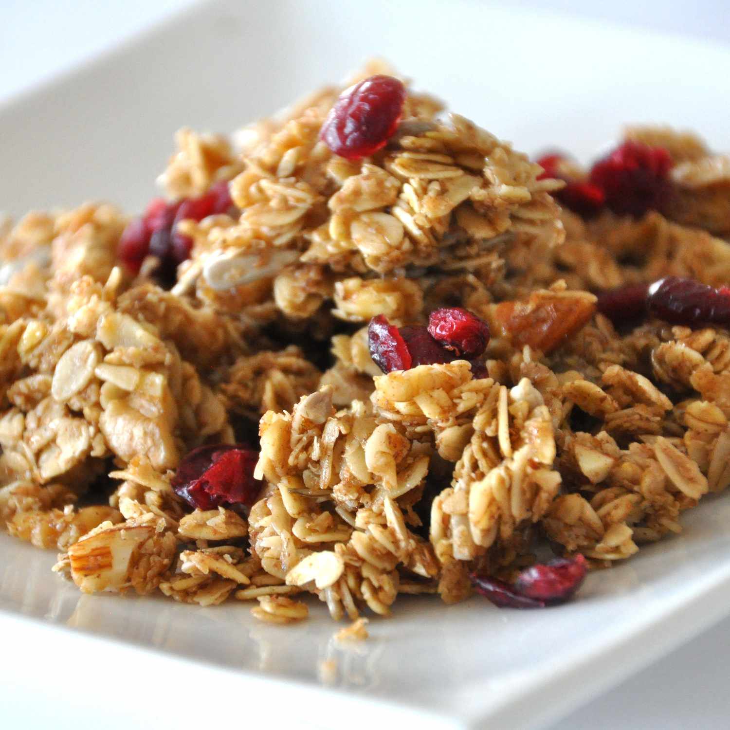 Close up view of Granola with cranberries on a white plate