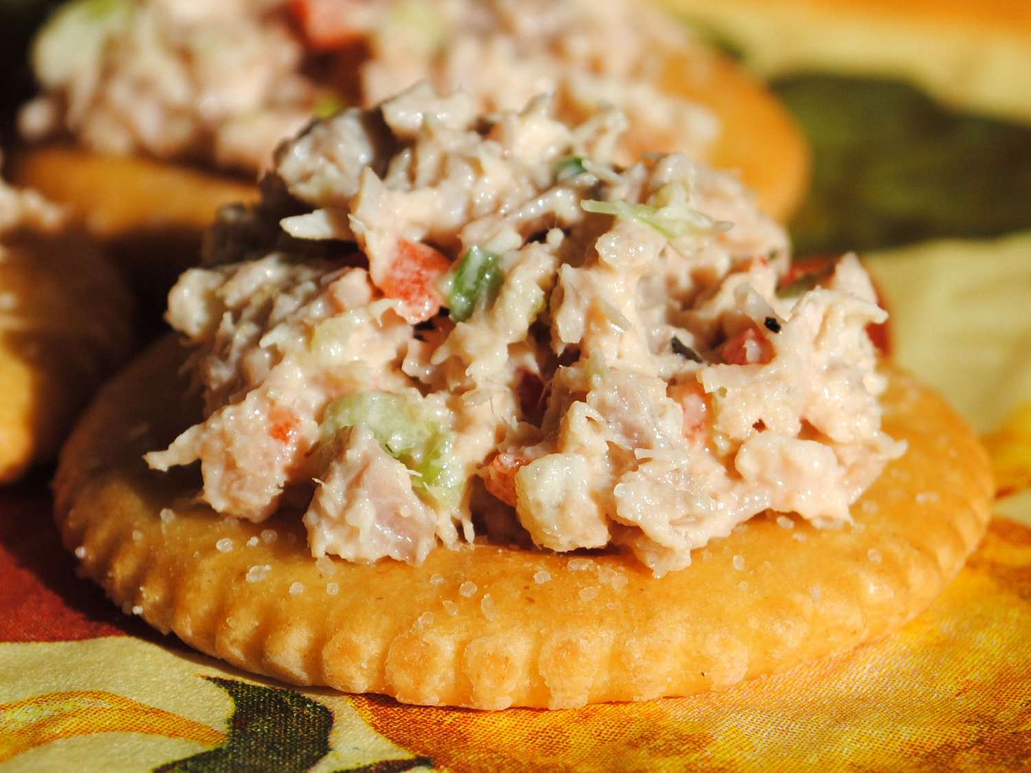 Close up view of Turkey Salad on crackers