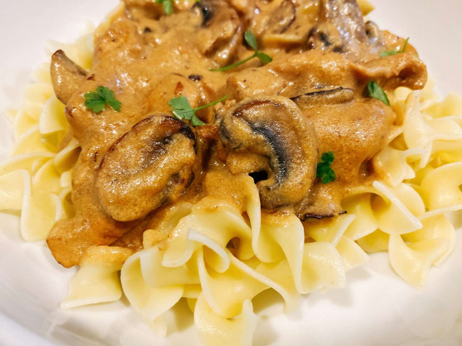 Closeup of serving of chicken stroganoff over noodles on white plate
